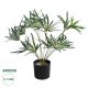 GloboStar® Artificial Garden BROADLEAF LADY PALM 20059 Τεχνητό Διακοσμητικό Φυτό Πλατύφυλλος Φοίνικας Μπαμπού Υ50cm