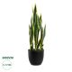 GloboStar® Artificial Garden BLOODLEAF DRACAENA TRIFASCIATA 20060 Τεχνητό Διακοσμητικό Φυτό Αιματόφυλλη Σανσεβιέρια Υ70cm