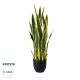 GloboStar® Artificial Garden BLOODLEAF DRACAENA TRIFASCIATA 20061 Τεχνητό Διακοσμητικό Φυτό Αιματόφυλλη Σανσεβιέρια Υ90cm