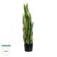 GloboStar® Artificial Garden BLOODLEAF DRACAENA TRIFASCIATA 20062 Τεχνητό Διακοσμητικό Φυτό Αιματόφυλλη Σανσεβιέρια Υ100cm