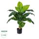 GloboStar® Artificial Garden ROHDEA JAPONICA 20067 Τεχνητό Διακοσμητικό Φυτό Ιαπωνέζικη Ροδέα Υ80cm