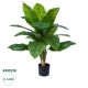 GloboStar® Artificial Garden ROHDEA JAPONICA 20068 Τεχνητό Διακοσμητικό Φυτό Ιαπωνέζικη Ροδέα Υ80cm