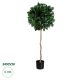 GloboStar® Artificial Garden LAUREL 20084 Τεχνητό Διακοσμητικό Φυτό Δάφνη Υ120cm