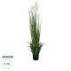 GloboStar® Artificial Garden PAMPAS GRASS 20106 Τεχνητό Διακοσμητικό Φυτό Γρασίδι της Πάμπας Υ150cm