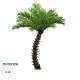 GloboStar® Artificial Garden PHOENIX ROEBELENII PALM TREE 20188 Τεχνητό Διακοσμητικό Φυτό Φοινικόδεντρο Ρομπελίνι Εξωτερικού Χώρου IP68 UV Certified Protection Υ400cm