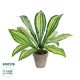 GloboStar® Artificial Garden  DRACAENA POTTED PLANT 20907 Διακοσμητικό Φυτό Δράκενα Φ40 x Υ33cm