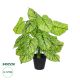 GloboStar® Artificial Garden CALADIUM PLANT 20913 Διακοσμητικό Φυτό Καλάντιουμ Φ55 x Υ75cm