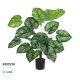 GloboStar® Artificial Garden CALATHEA PLANT 20922 Διακοσμητικό Φυτό Καλαθέα Φ70 x Υ80cm