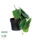 GloboStar® Artificial Garden STRAWBERRY PLANT 20951 Διακοσμητικό Φυτό Φράουλα Φ23 x Υ16cm