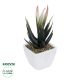 GloboStar® Artificial Garden SUCCULENT ALOE POTTED PLANT 20974 Διακοσμητικό Φυτό Αλόης Φ7 x Υ14cm