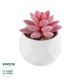 GloboStar® Artificial Garden SUCCULENT SEDEVERIA 20981 Διακοσμητικό Φυτό Παχύφυτο Σεντεβέρια Υ8cm