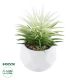 GloboStar® Artificial Garden SUCCULENT SENECIO 20997 Διακοσμητικό Φυτό Παχύφυτο Σενέκιο Υ12cm