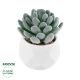 GloboStar® Artificial Garden SUCCULENT SEDEVERIA 21001 Διακοσμητικό Φυτό Παχύφυτο Σεντεβέρια Υ9.5cm