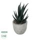 GloboStar® Artificial Garden SUCCULENT ALOE POTTED PLANT 21007 Διακοσμητικό Φυτό Αλόη  Φ7 x Υ14cm