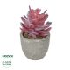 GloboStar® Artificial Garden SUCCULENT CRASSULA POTTED PLANT 21015 Διακοσμητικό Φυτό Κρασούλα  Φ7 x Υ11,5cm