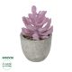 GloboStar® Artificial Garden SUCCULENT CRASSULA POTTED PLANT 21029 Διακοσμητικό Φυτό Κρασούλα  Φ7 x Υ10,5cm