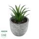 GloboStar® Artificial Garden SUCCULENT ALOE 21030 Διακοσμητικό Φυτό Παχύφυτο Αλόη Υ10cm