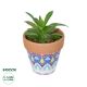 GloboStar® Artificial Garden SUCCULENT ALOE POTTED PLANT 21040 Διακοσμητικό Φυτό Αλόη Φ9 x Υ14cm