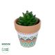 GloboStar® Artificial Garden SUCCULENT SANSEVIERIA POTTED PLANT 21051 Διακοσμητικό Φυτό Σανσεβιέρια  Φ8x Υ14cm