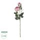 GloboStar® Artificial Garden PINK DAMASK CLIMBING ROSE BRANCH 21199 Τεχνητό Διακοσμητικό Κλαδί Τριαντάφυλλο Σαμπανιζέ Y55cm