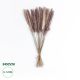 GloboStar® Artificial Garden REAL DRIED BROWN PAMPAS GRASS BUNCH 21215 Αποξηραμένο Διακοσμητικό Μπουκέτο Pampas Kάφε Y50cm